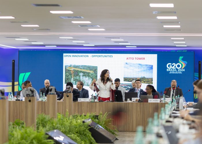 Reuniões G20 – Brasília 2024