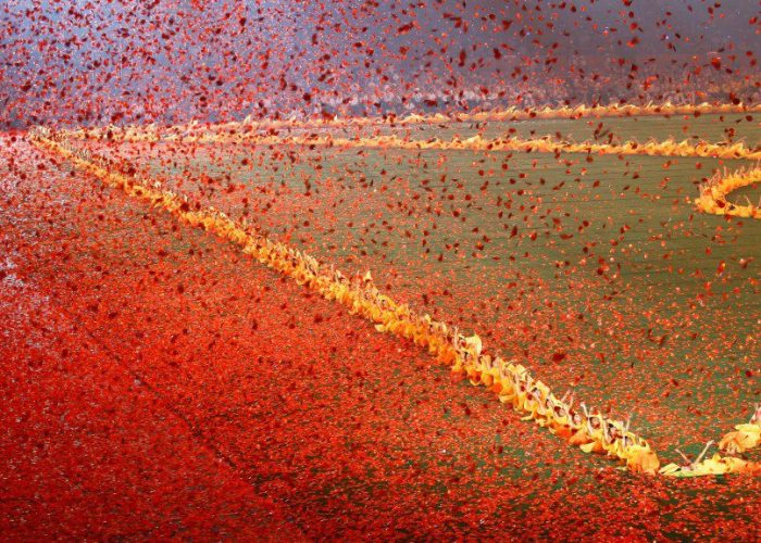Abertura-Beijing-2008-1024×576